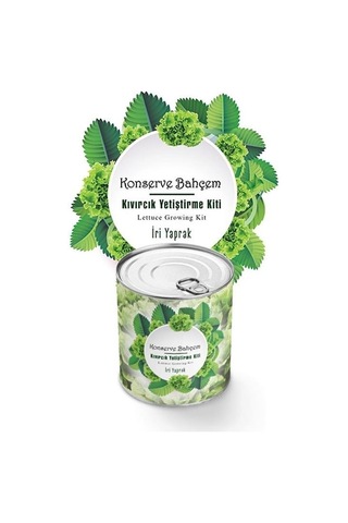 Buffer Konserve Bahçem Evde Konservede İri Yapraklı Kıvırcık Yetiştirme Kiti Mavi