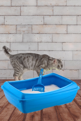 Vekorr Kedi Tuvaleti Kırılmaz Açık Evcil Hayvan Kum Kabı Kum Kürek