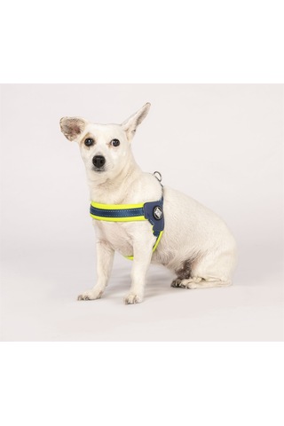 Max & Molly Q-Fit Matrix Yellow Göğüs Tasması Sarı XXS Sarı