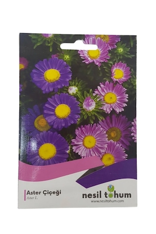 Aster Çiçeği Tohumu 50'li