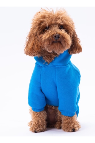 Mavi Kanguru Cepli Kedi-köpek Hoodie- Sweatshirt Kedi Köpek Kıyafeti