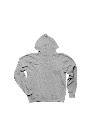 The Beatles Vintage Line Up Gri Kapşonlu Sweatshirt Hoodie Gri