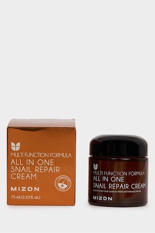 Defacto Mizon All In One Snail Repair Cream - Salyangoz Özlü Hepsi Bir Arada Bakım Kremi 75 g G7284AXNS