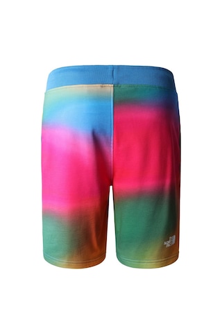 The North Face M Standard Short Lıght-eu Erkek Şort Nf0a3s4eıax1 001