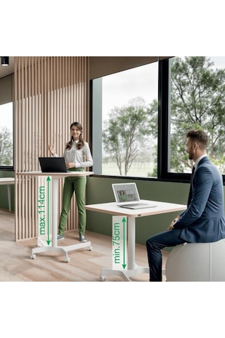 Leitz Ergo Küçük Sit Standing Çalışma Masası Kod:65360001 Beyaz