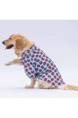 Pawstar Bear Orta Büyük Irk Köpek Gömleği