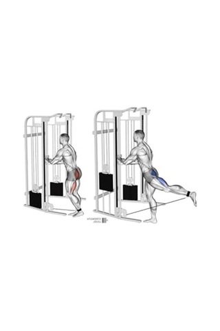 Haki Renkli Ankle Straps Bilek Ağırlık Kemeri Ve Cable Kickback Açık Kırmızı