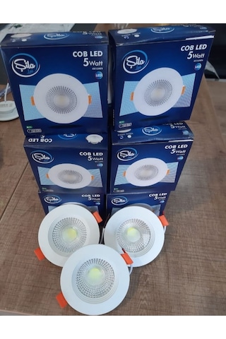 10 ADET 5 W BEYAZ KASA & BEYAZ IŞIK COB LED