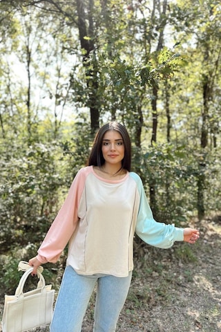 WeShaya Kadın Bej Uzun Balon Kol, Yuvarlak Yaka, Kolları Double Color Block Basic Sweatshirt Bluz Bej