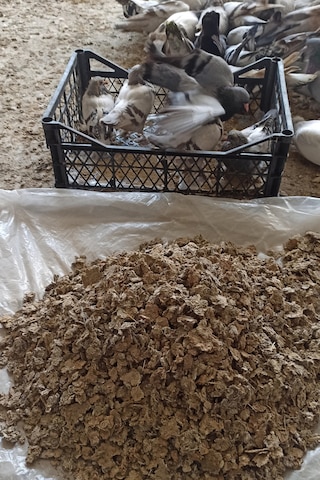 Doğal Güvercin Gübresi 3 Kg