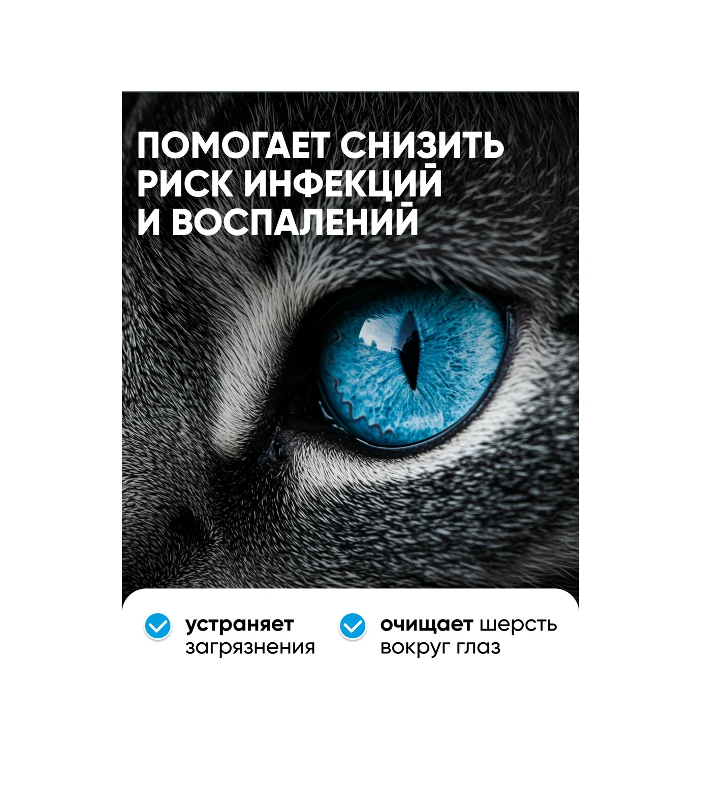 Harly Köpekler Ve Kediler İçin Temizleyici Göz Losyonu 385728241