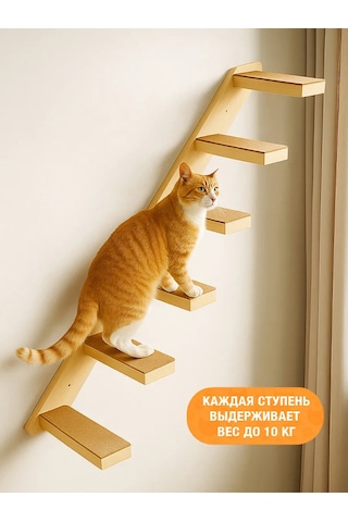 Go Cats Duvara Monte Tırmalama Ve Tırmanma Platformu 436649941