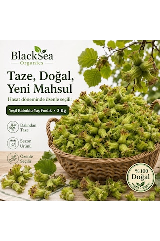 Blacksea Organics Rize Fındığı Yeni Mahsul Yeşil Kabuklu Yaş Fındık 3 Kg Dalından Taze Kabuklu Fındık