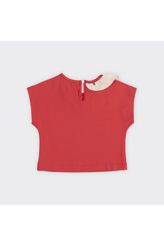 Panço Kız Çocuk Yakası Fırfır Detaylı T-shirt 2411gb05038-4400 001