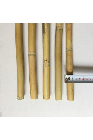 Fidan Destek Çubuğu Kamış 180-190Cm 25 Adet