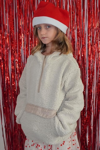 Reycan Kız Çocuk Peluş Sweatshirt Kapüşonlu Kanguru Cepli 5-8 Yaş, Taş Taş
