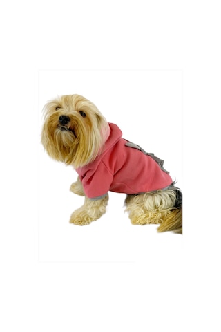Pinky Rabbit Kapşonlu Sweatshirt Köpek Kıyafeti Köpek Elbisesi