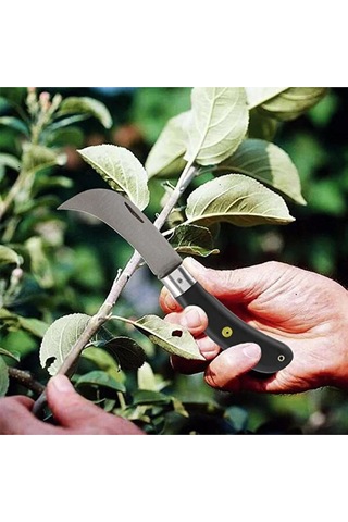 Desan Eğri Aşı Bıçağı Bağ Bıçağı Paslanmaz Ceviz Aşı Çakısı 20 Cm No 3 Siyah Plastik Saplı