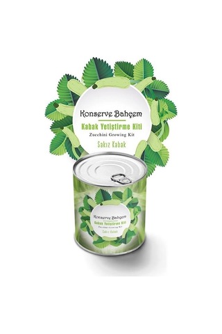 Buffer Konserve Bahçem Evde Konservede Sakız Kabak Yetiştirme Kiti Mavi