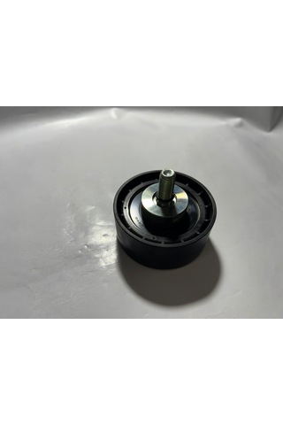 Karsan V Kayışı Altarnatör Rulmanı K100119