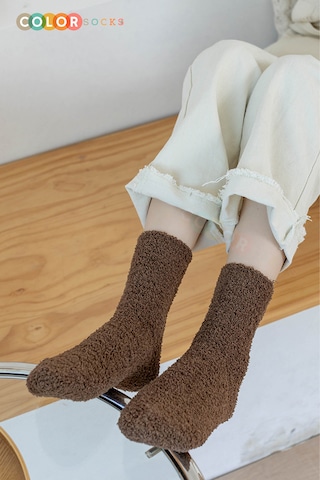 Color Socks 5 Çift Sonbahar Kış Soft Yumuşak Kadın Havlu Çorap Çok Renkli