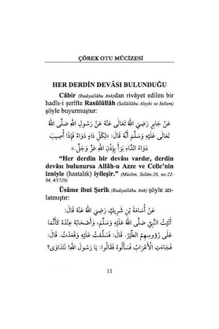 Çörek Otu Mucizesi Ve Şifa Duaları / Resail-i Ahmediyye 33