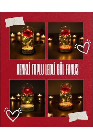 Işıklı Ters Fanus İçinde Gül Obje