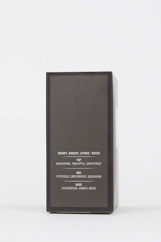 Defacto Erkek Gold Aromatik 100 ML Parfüm Y2391AZNSGD1