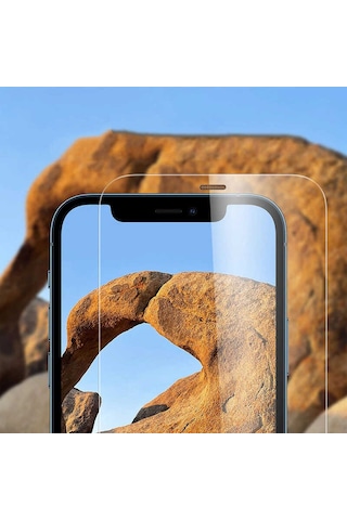 Goocamp Apple Uyumlu iPhone 12 Pro Max Vox Glass Temperli Ekran Koruyucu