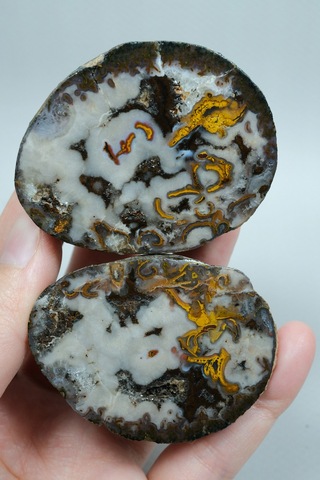 Plume Black Sea Agate Beyaz, Derin Kahverengi Ve Altın Turuncu Agate