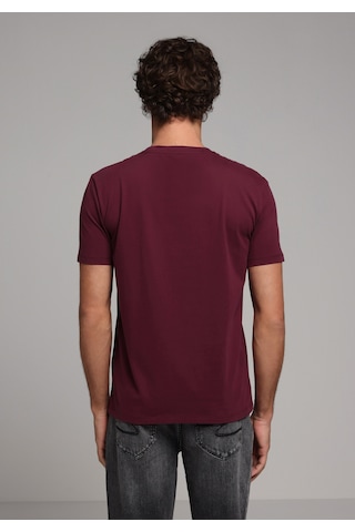 Colin's Colins Regular Fit Yuvarlak Yaka Düz Erkek Mor Kısa Kol Tişört Cl1073961 Q1.v1 Dpl Çok Renkli