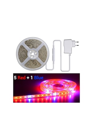 Bitkiler İçin 5m Lamba Tam Spektrumlu Led Şerit Işık 300 Led 5050 Büyüme Işıkları Kırmızı:mavi 3:1 4:1 5:1 Sera Topraksız Tesisi İçin + Güç Adaptörü Uk Plug 5:1 Ip65 Uk Plug 5:1 Ip65