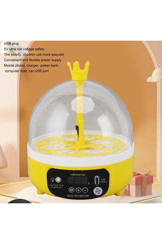 Qfbl Çocuklar Için 4 Yumurta Kuluçka Makinesi, Dijital Kuluçka