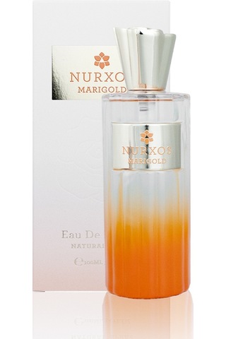 Nurxos 9837 Marigold Kadın Parfüm EDP 100 ML