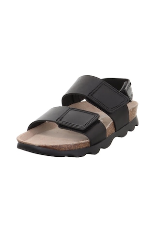 Superfit Jellies Kız Çocuk Siyah Mantar Soft Tabanlı Sandalet Siyah