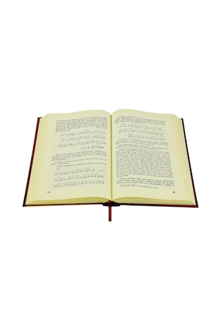 Tarikat-I Muhammediyye - Imam-I Birgivi