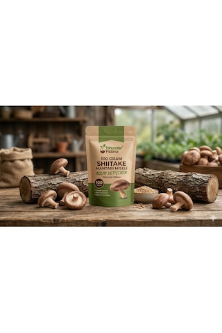 100 Gram Shiitake Mantar Tohumu Miseli