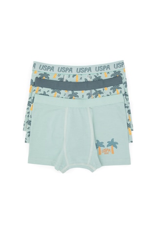 U.S. Polo Assn. Erkek Çocuk 3'lü Boxer Takım 50319388-VR048