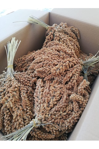 Doğal Daldarı Kızıl Darı 1 KG