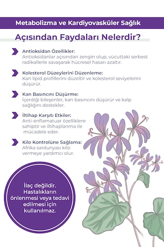 Orfarma Afrika Sardunyası Takviye Edici Gıda 50 ML