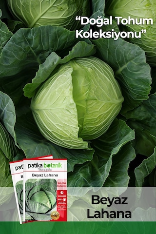 Patika Botanik 250 Adet Beyaz Lahana Tohumu Yalova