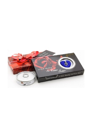 Okyanusun Işığı Tatlı Su Incisi Gerçek Istiridyede (472292910)