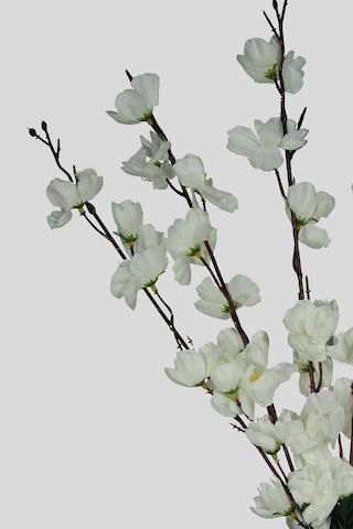Yapay Çiçek 7 Dallı Beyaz Japon Çiçeği Bahar Dalı