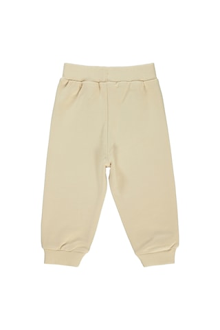 Tweety Kız Bebek Eşofman Altı 6-18 Ay Taş Rengi 42330174524s1-1 Taş