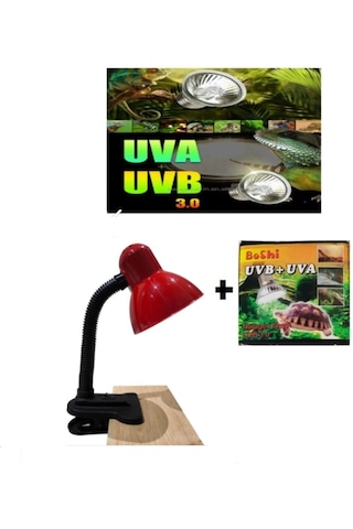 Mandallı Akrobat Lamba Tutacağı 25 W Uva/uvb Lamba Dahil Kırmızı