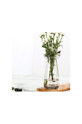 Alto Şeffaf Gold Detaylı Cam Vazo - 18 Cm Şeffaf