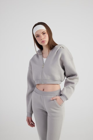 Holly Lolly Kadın Gri Kapüşonlu Uzun Kol Fermuarlı Crop Mixed Sweat