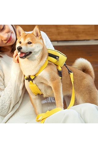Homyl Köpek Sırt Çantası Koşum Ayarlanabilir Pet Kendinden