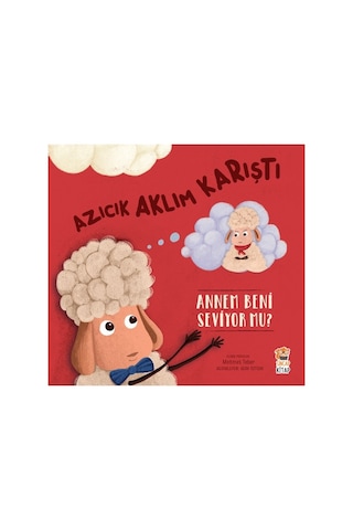 Sincap Kitap Azıcık Aklım Karıştı - Annem Beni Seviyor Mu - Mehmet Teber