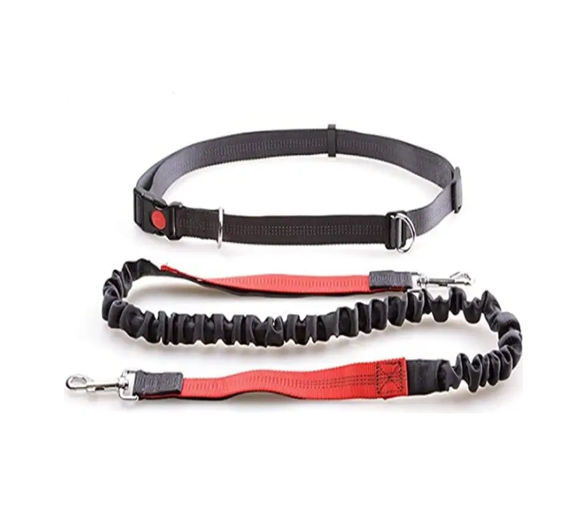 Big Jungle Köpek İçin Koşu Tasması Ayarlanabilir 19037406 Kırmızı